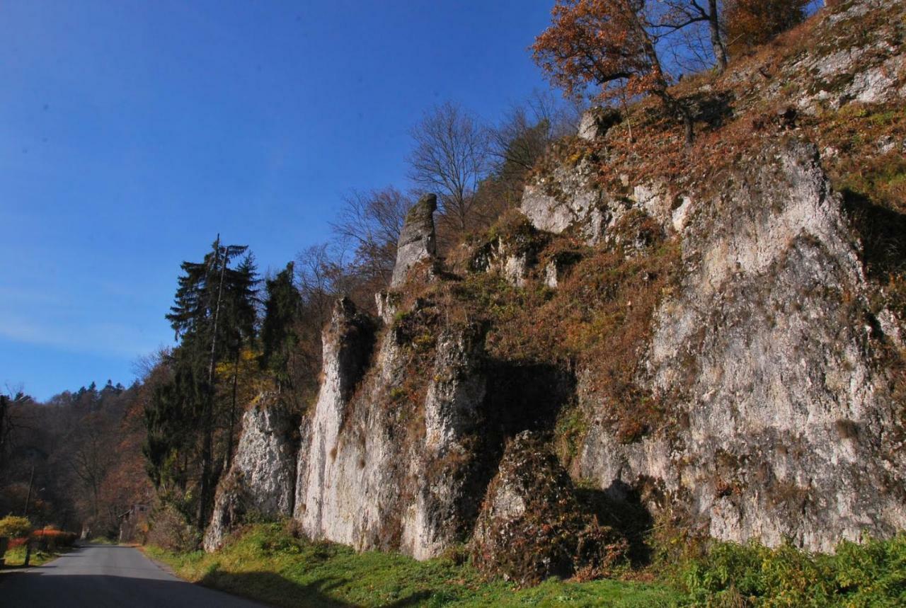 Pokoje Goscinne U Grazyny Ojcow Exterior foto