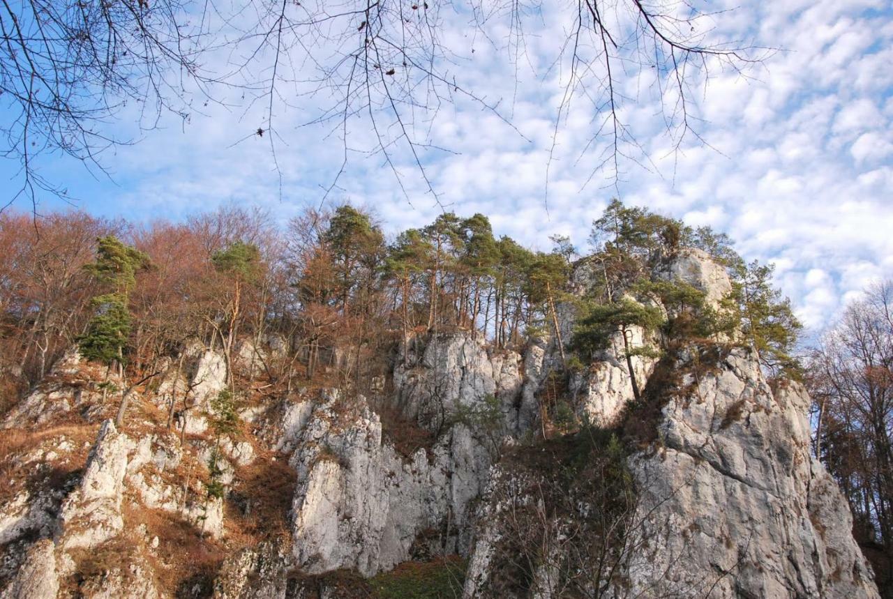 Pokoje Goscinne U Grazyny Ojcow Exterior foto