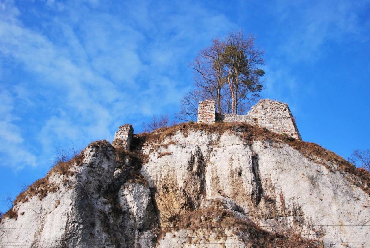 Pokoje Goscinne U Grazyny Ojcow Exterior foto