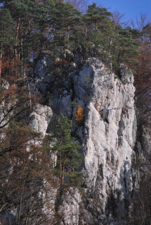 Pokoje Goscinne U Grazyny Ojcow Exterior foto