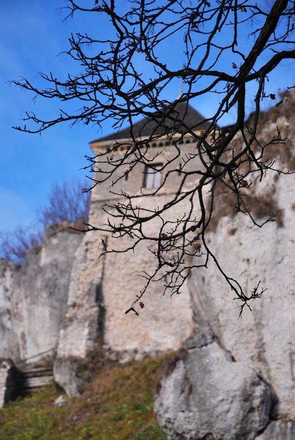 Pokoje Goscinne U Grazyny Ojcow Exterior foto