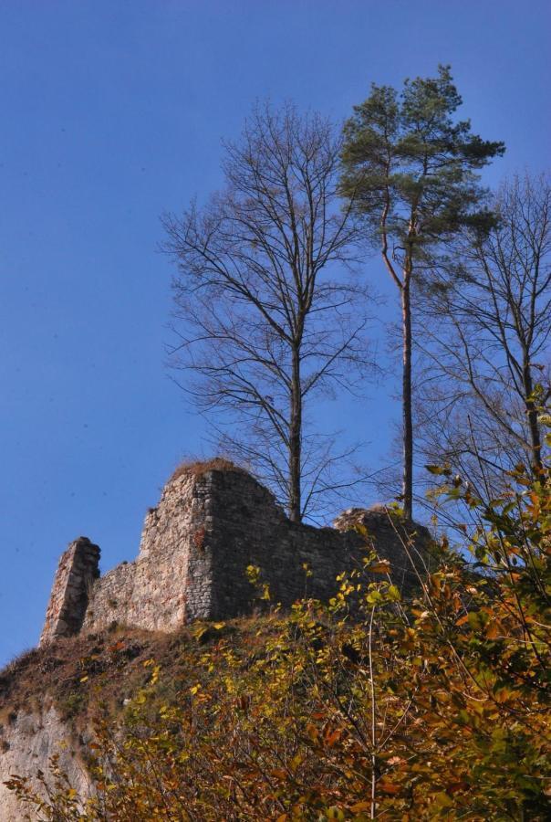 Pokoje Goscinne U Grazyny Ojcow Exterior foto