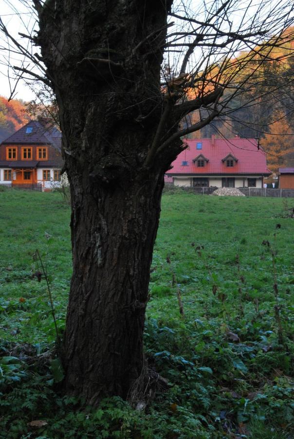 Pokoje Goscinne U Grazyny Ojcow Exterior foto