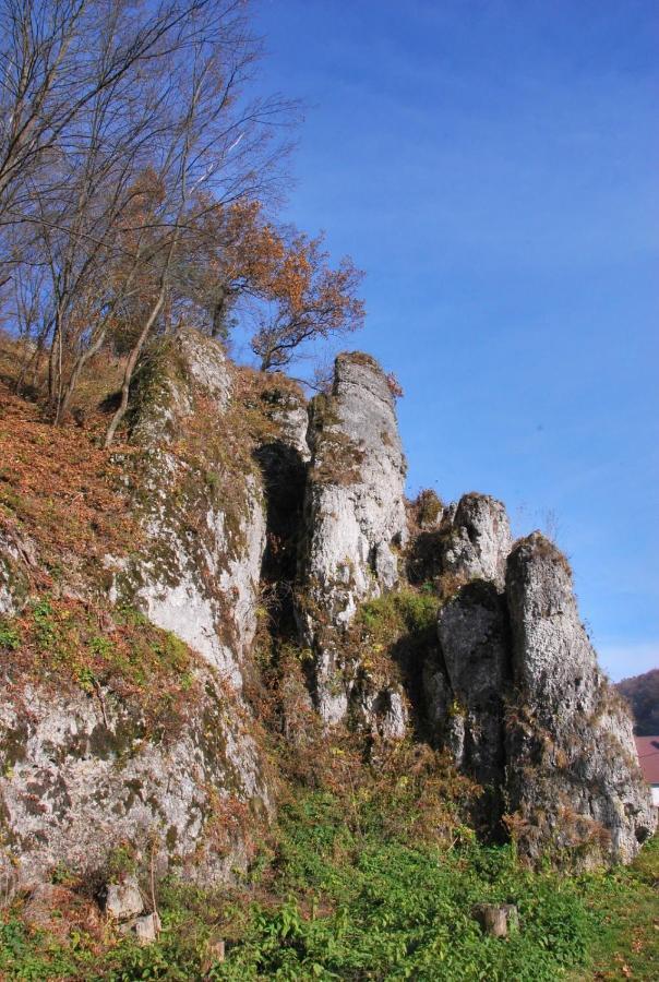 Pokoje Goscinne U Grazyny Ojcow Exterior foto