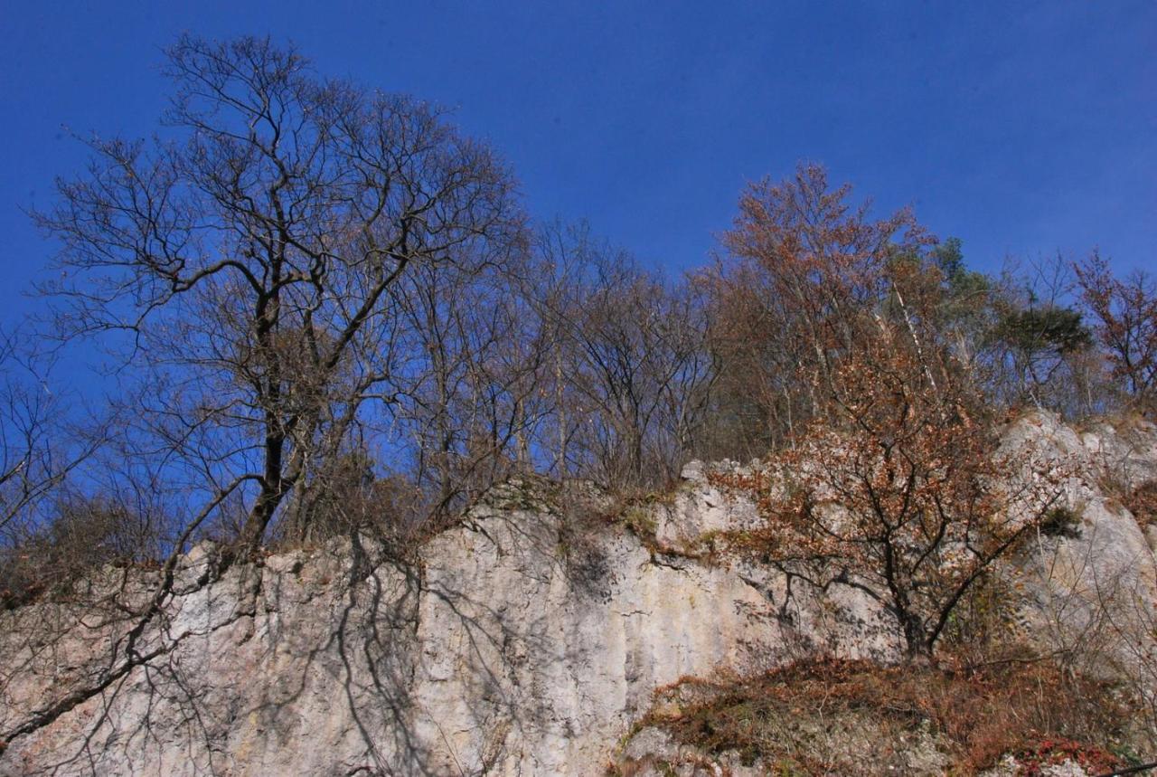 Pokoje Goscinne U Grazyny Ojcow Exterior foto