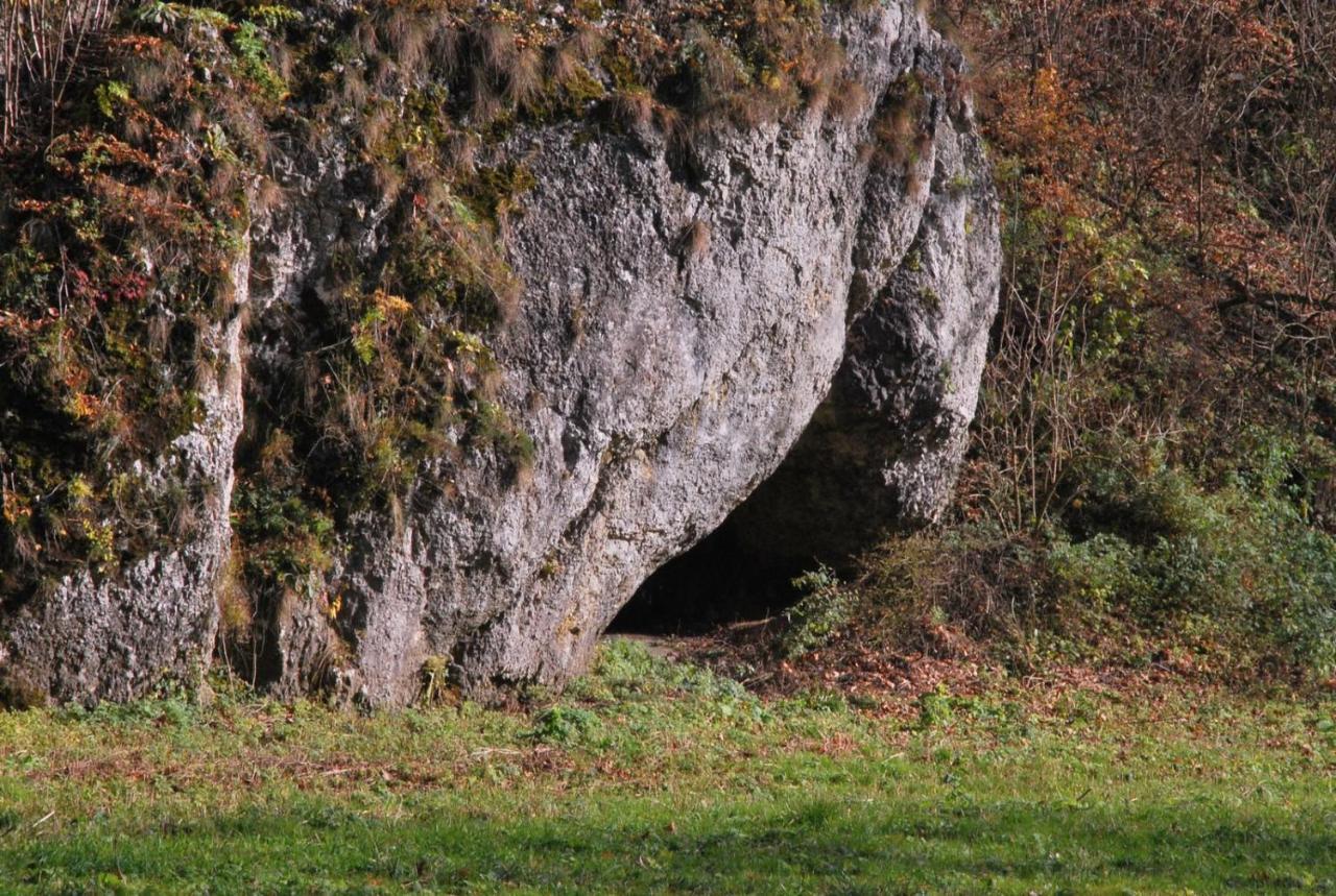 Pokoje Goscinne U Grazyny Ojcow Exterior foto