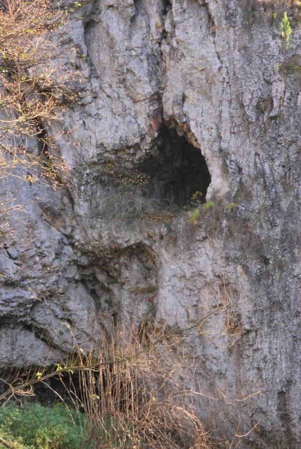 Pokoje Goscinne U Grazyny Ojcow Exterior foto