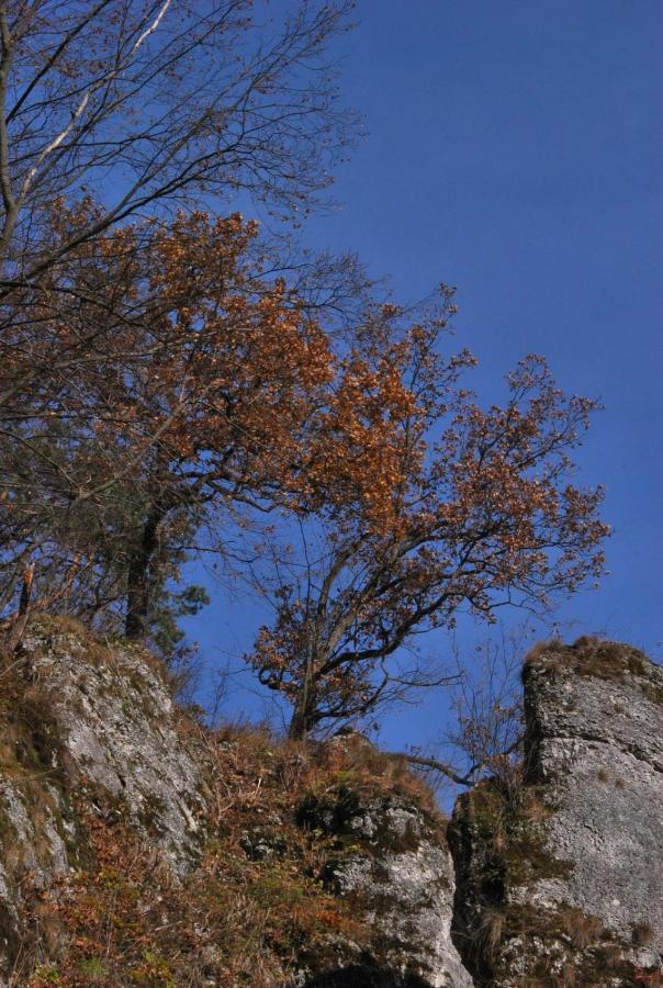 Pokoje Goscinne U Grazyny Ojcow Exterior foto