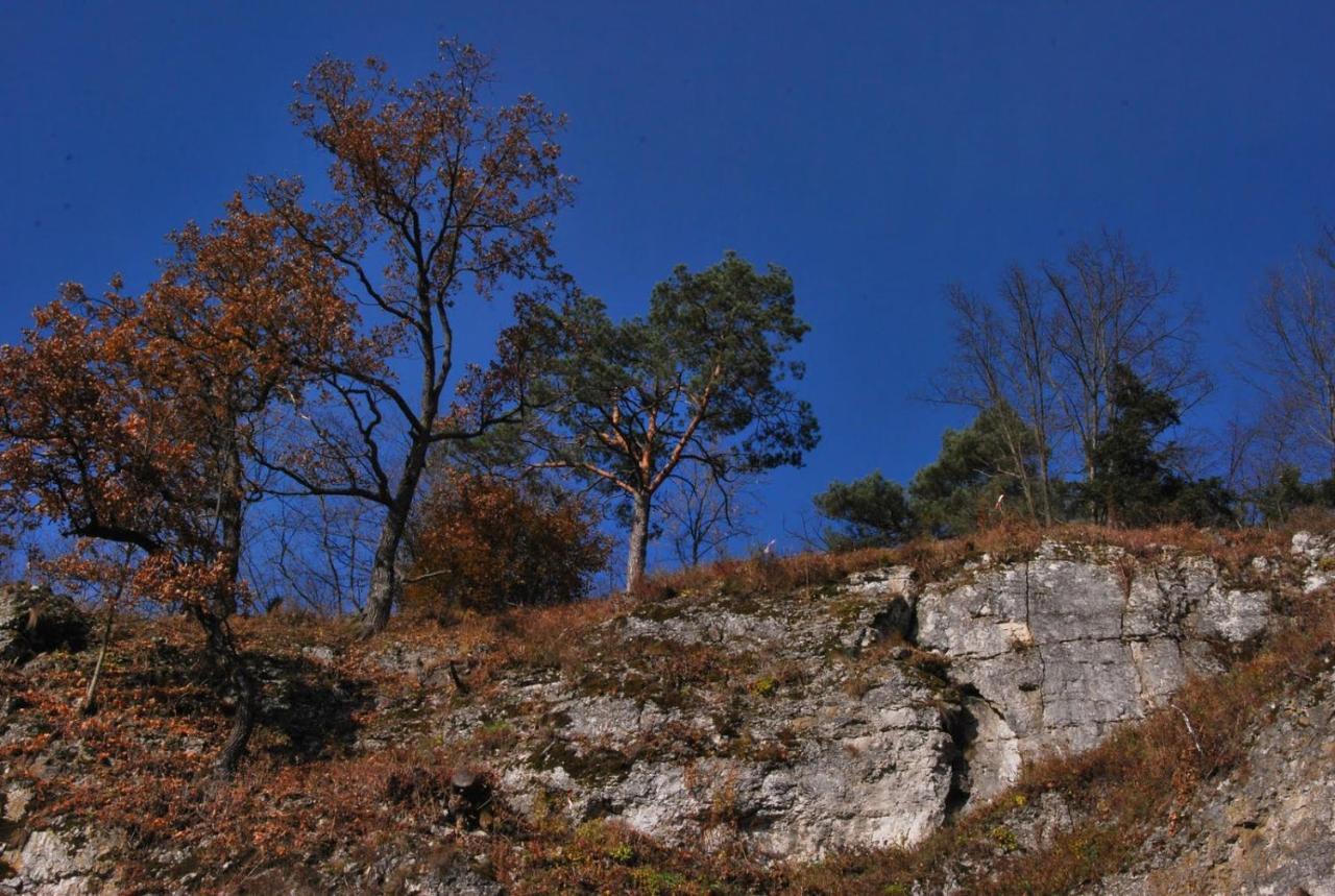 Pokoje Goscinne U Grazyny Ojcow Exterior foto