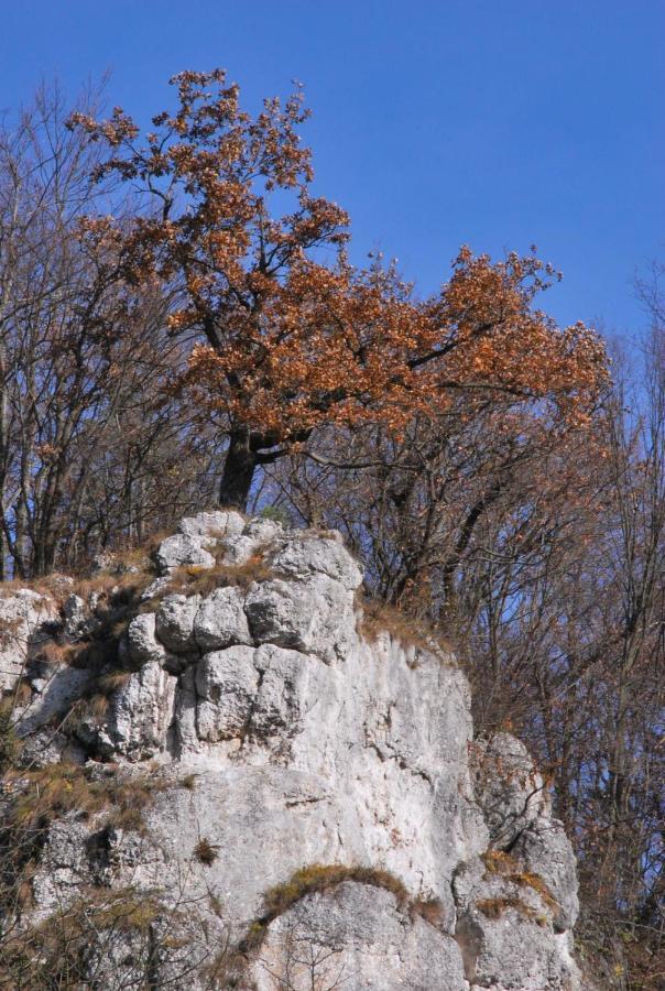 Pokoje Goscinne U Grazyny Ojcow Exterior foto