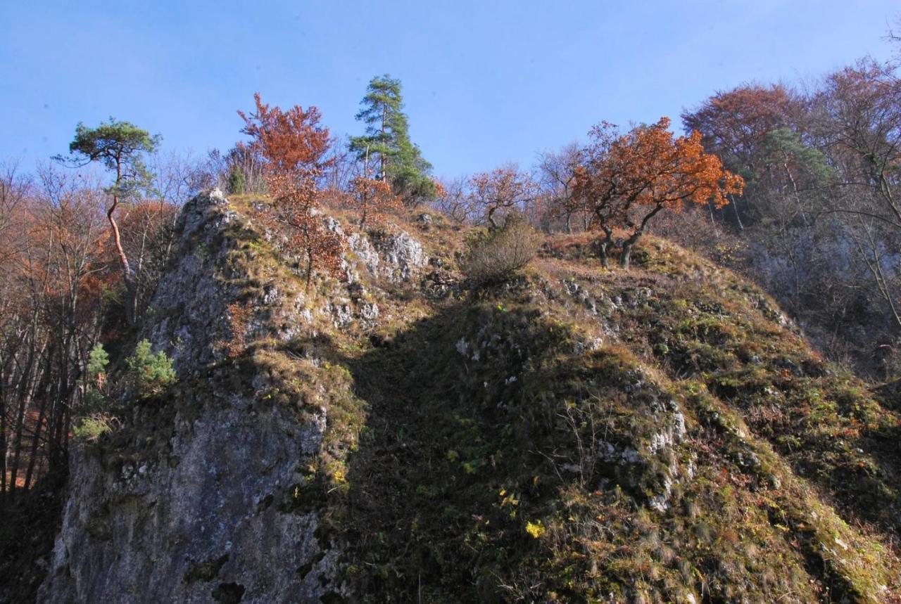 Pokoje Goscinne U Grazyny Ojcow Exterior foto